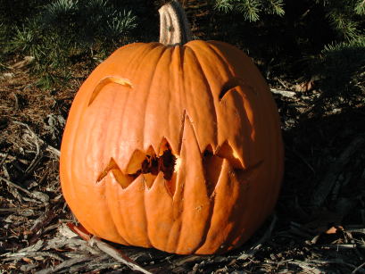 One Tooth, Nipomo Pumpkin Patch best carving idea
